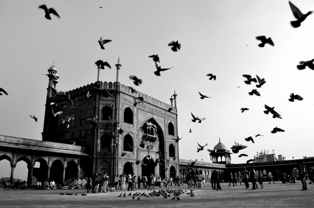 birds flying in front of mosque