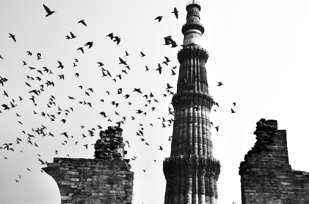 birds flying across old tower