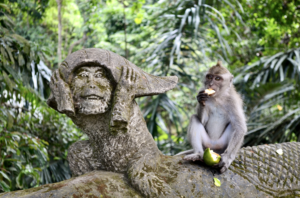 monkey eating fruit next to statue of monkey