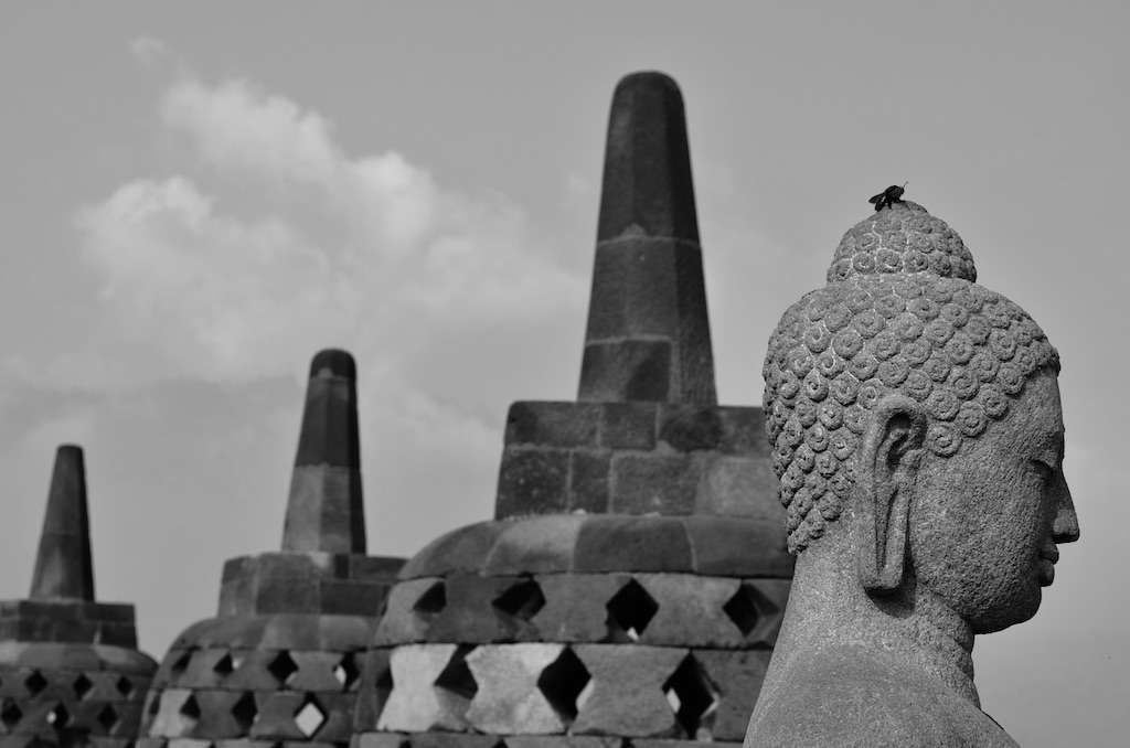 beetle landing on a buddha statue's head