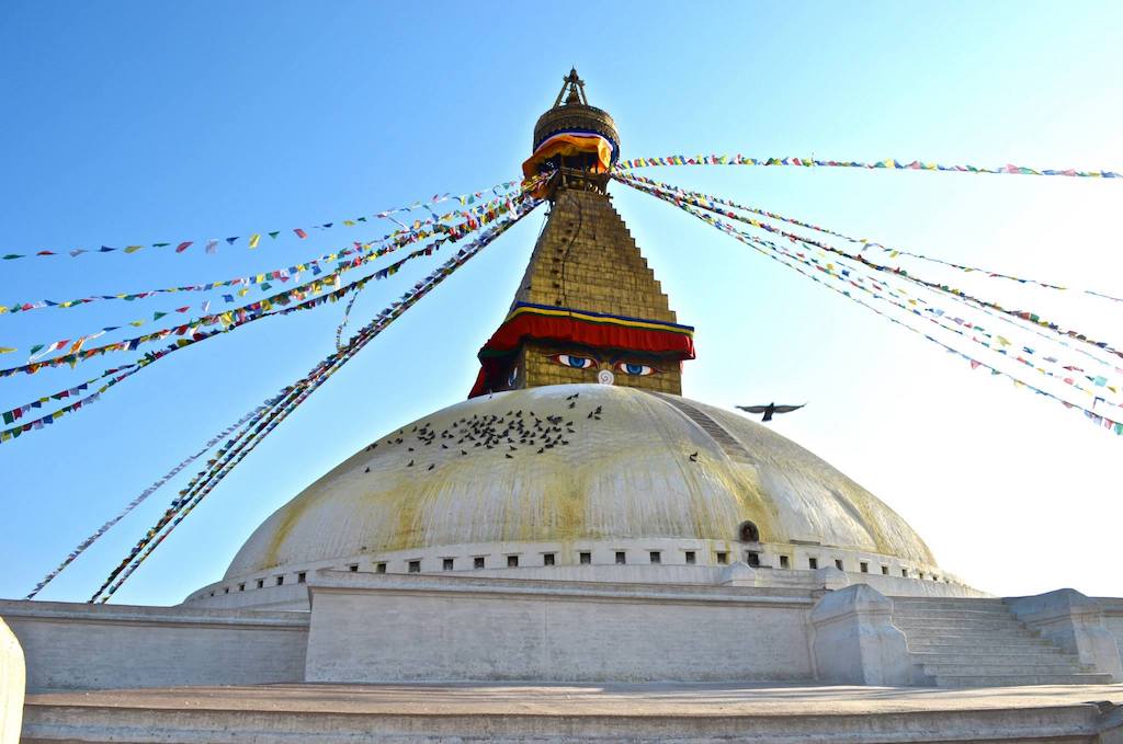 bird flying over massive temple