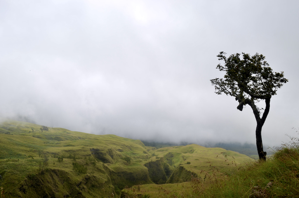 foggy hills